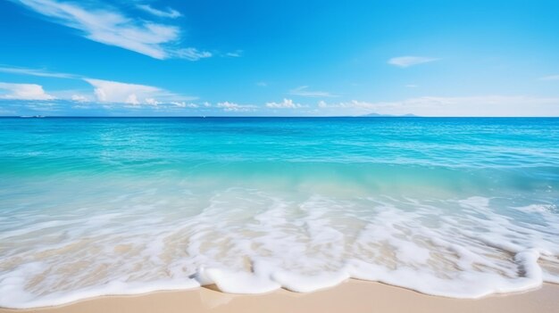 Arrière-plan d'été côte de mer tropicale avec une belle eau bleue et une journée ensoleillée Copier l'espace