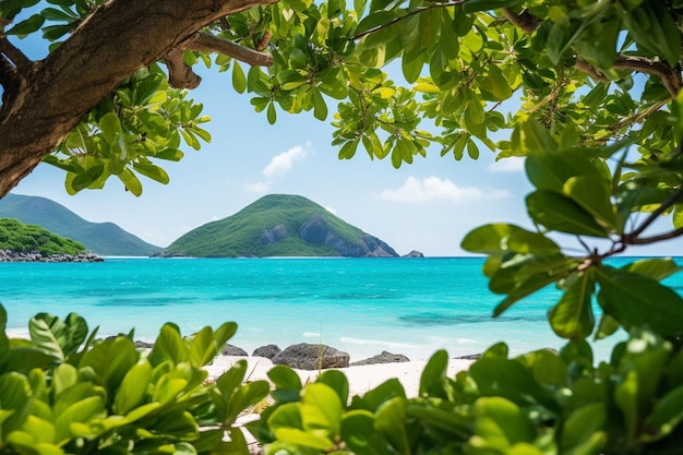 Photo arrière-plan d'été avec vue sur la plage dans un style réaliste