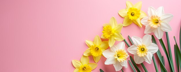 Photo arrière-plan de fleurs de narcisse