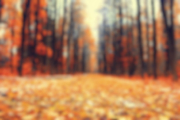 arrière-plan flou forêt d'automne, art abstrait parc d'automne ensoleillé, lueur jaune octobre vue