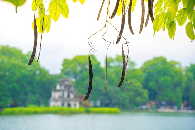 Arrière-plan flou Lac Hoan Kiem Ho Guom ou lac Sword dans le centre de Hanoi dans le brouillard le matin Le lac Hoan Kiem est un lieu touristique célèbre à Hanoi Concept de voyage et de paysage