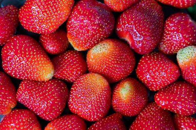 Arrière-plan de fraises mûres rouge gros plan Vue de dessus Fonds alimentaire Plein cadre