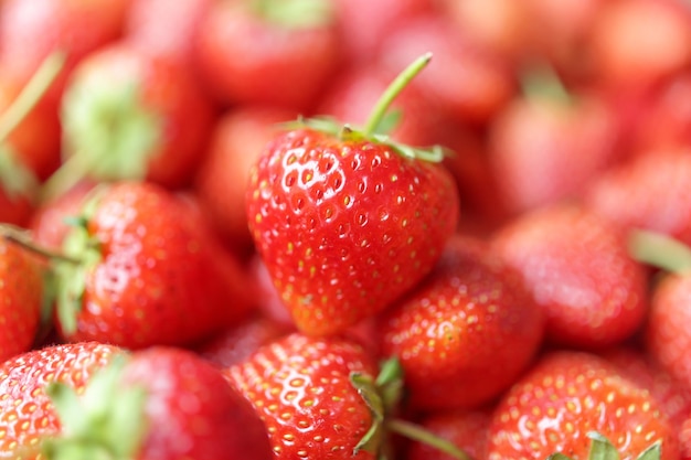 Photo arrière-plan de fraises rouges biologiques fraîches