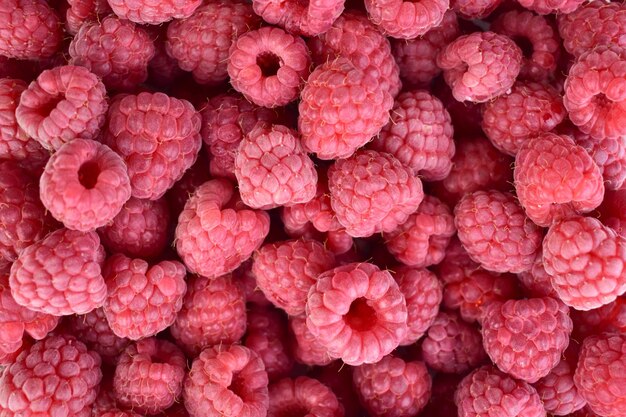 Photo arrière-plan de framboise fraîche en gros plan photoflet ley