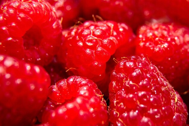 Arrière-plan framboise rouge baies juteuses mûres aliments crus gros plan mise au point sélective