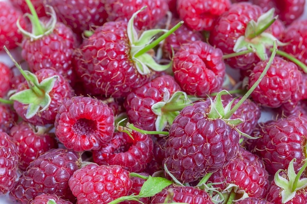 Photo arrière-plan de framboises biologiques fraîches