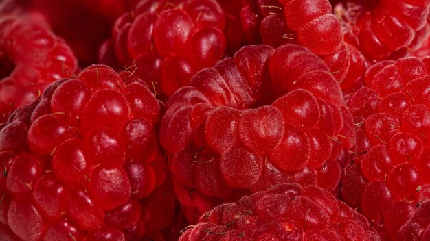 Arrière-plan de framboises rouges mûres tourné dans le gros plan du marché