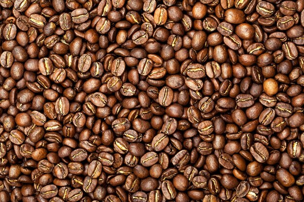 Arrière-plan des grains de café