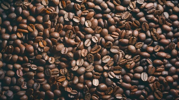 Arrière-plan des grains de café