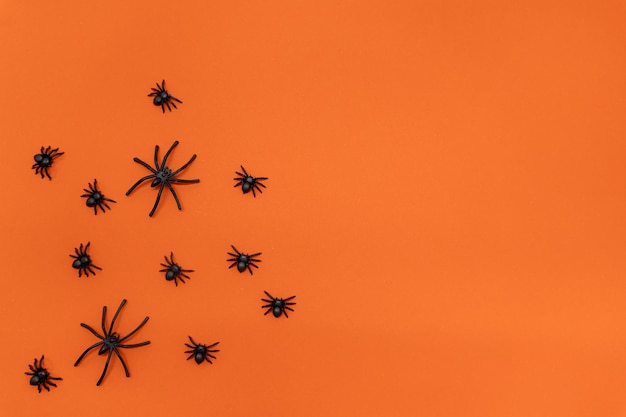 Arrière-plan d'Halloween Des araignées noires sur un fond orange vif