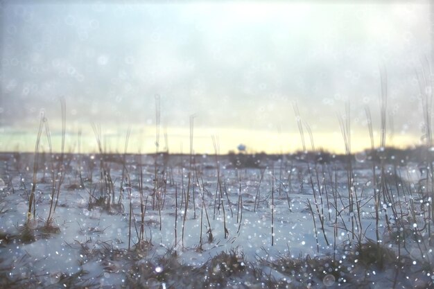 Photo arrière-plan d'hiver paysage de champ de neige flou