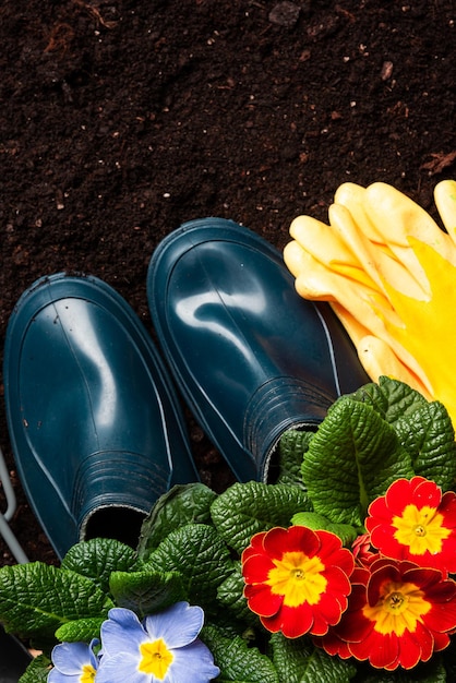 Arrière-plan de jardinage Objets liés à la plantation de printemps sur le sol de jardin en gazon