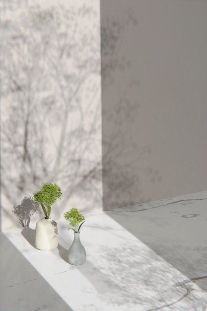 Arrière-plan monotone simple avec des vases, des ombres d'arbres et de la lumière naturelle