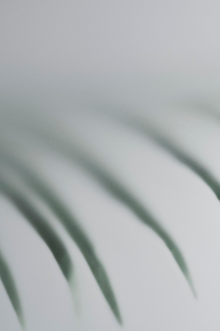 Photo arrière-plan de la nature avec une feuille derrière du verre à motifs
