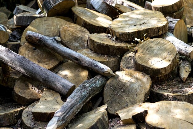 arrière-plan naturel avec des dés en bois