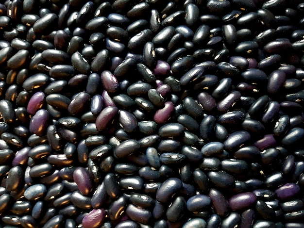 Arrière-plan de nombreux grains de haricots colorés séchés. Fond et texture de haricot