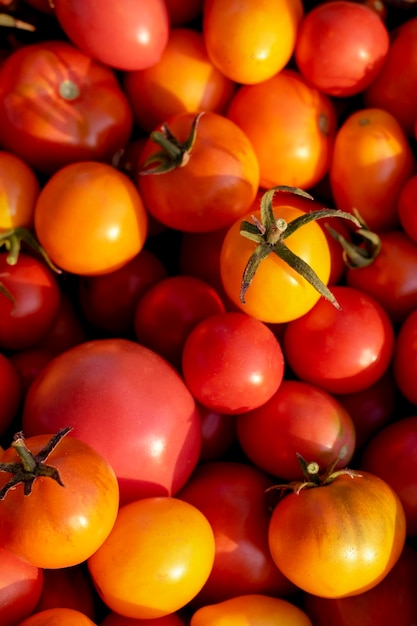 Arrière-plan de petites tomates de ferme multicolores