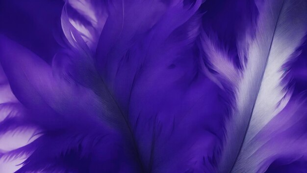 Arrière-plan avec des plumes douces violettes et bleues élégantes.