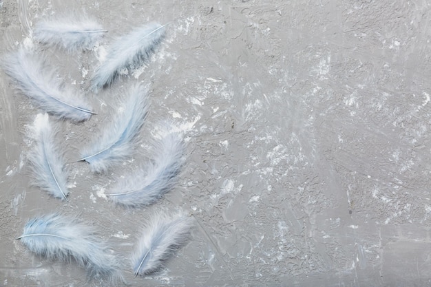 Photo arrière-plan de plumes d'oiseaux teints aux couleurs vives sur la vue de dessus de l'arrière-plan coloré espace de copie