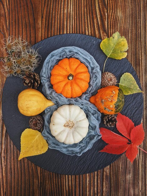 Arrière-plan de la récolte d'automne de petites citrouilles différentes orange sur plaque noire se bouchent. Vue de dessus