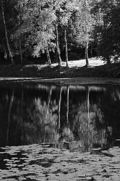 Arrière-plan de réflexions d'étang de parc noir et blanc vertical