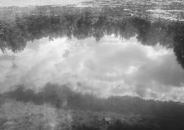 Arrière-plan de réflexions horizontales en noir et blanc de la forêt