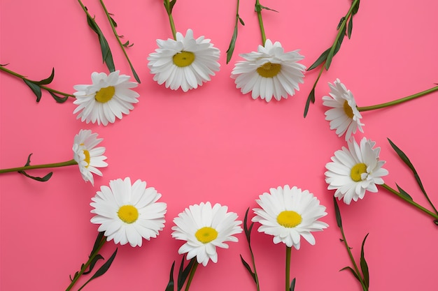 Arrière-plan rose vif avec des marguerites blanches pour la fête des mères