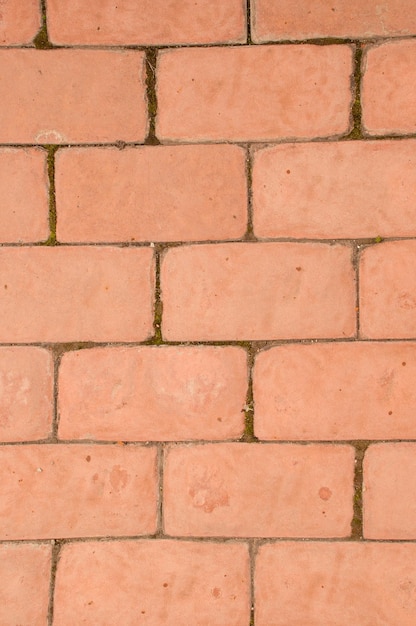 Arrière-plan sous la forme d'un carreau de maçonnerie de couleur orange avec de la mousse aux joints