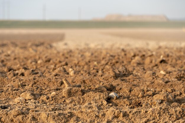 Arrière-plan et texture de champ d'agriculture propre vide pour l'espace de copie de conception concept d'agriculture écologique et d'agriculture biologique Il y a des traces d'équipement de récolte à roues sur le sable