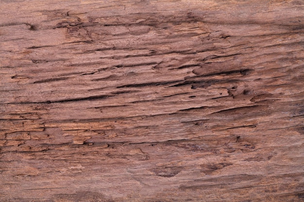 arrière-plan la texture du bois