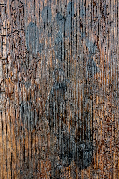 arrière-plan la texture du bois