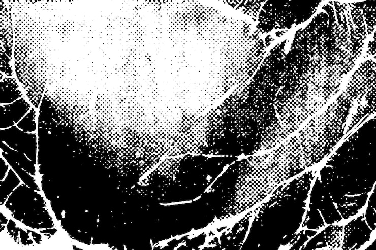 Photo arrière-plan à texture grunge en noir et blanc