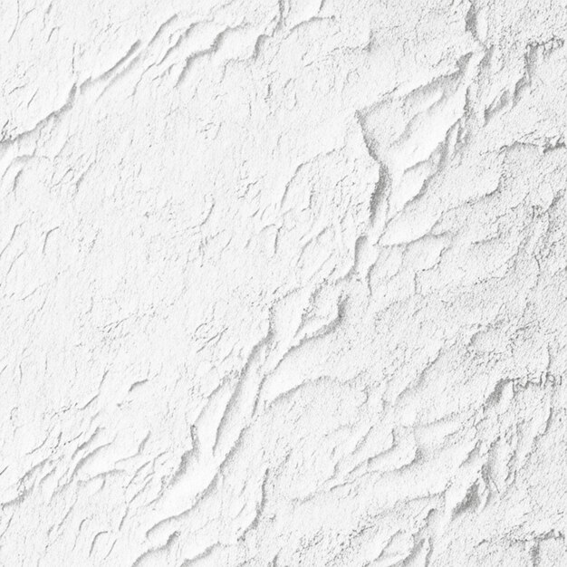 Arrière-plan de la texture des murs en béton de couleur peinte en blanc et gris