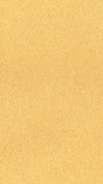 arrière-plan à texture de papier brun vertical