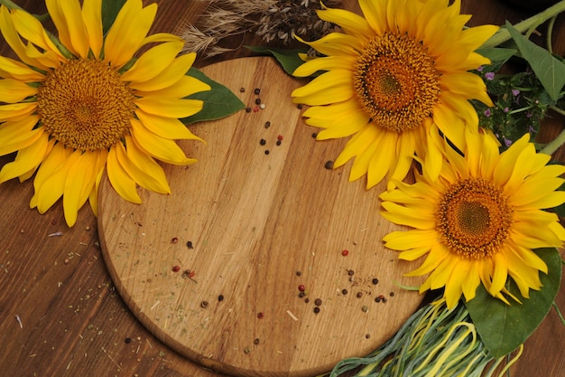 Arrière-plan avec tournesols et plateau de cercle