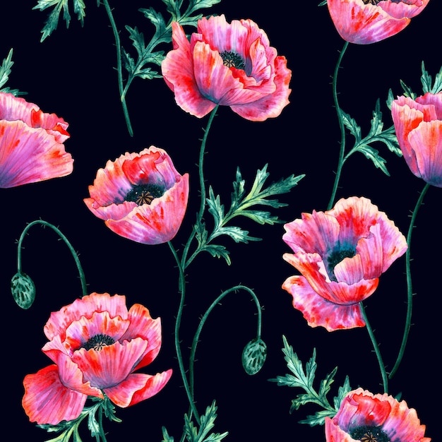 Arrière-plan transparent floral Motif avec de belles fleurs de pavot à l'aquarelle Botanique illustration dessinée à la main Texture pour papier peint textile en tissu imprimé