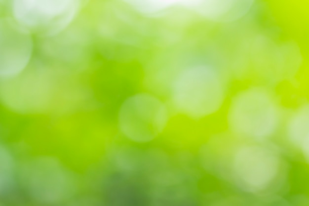Arrière-plan vert naturel flou