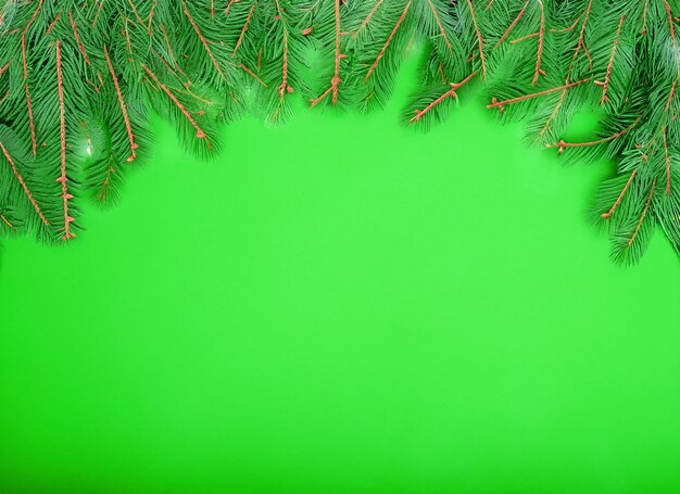 Photo arrière-plan vert de noël