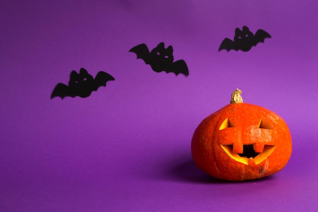 Arrière-plans d'Halloween d'araignées citrouilles naturelles Jack Lantern et de chauves-souris noires sur fond violet avec des paysages terribles Horreur et des vacances effrayantes avec espace de copie