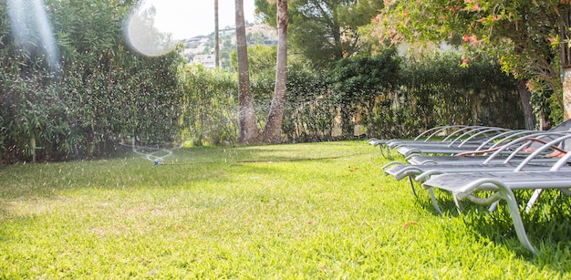 Arrosage de l'eau de pelouse pulvériser de l'eau sur l'herbe fraîche de la pelouse verte dans le jardin