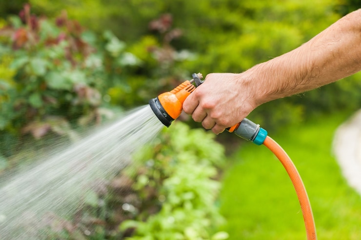 Photo arrosage jardin verdoyant avec tuyau extérieur