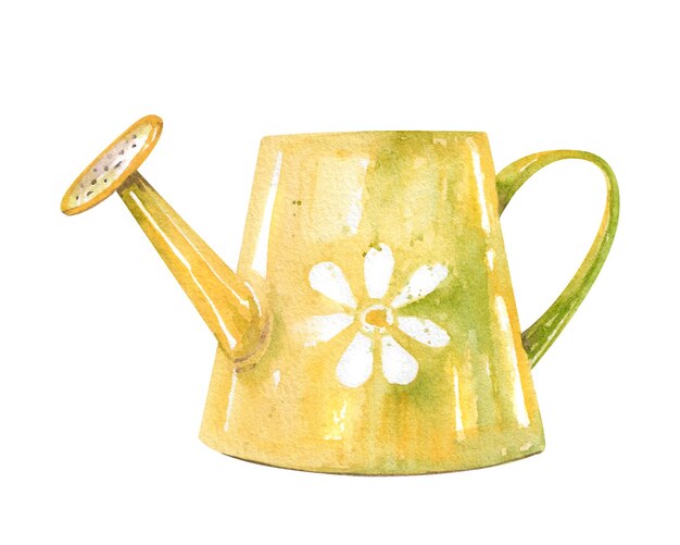 Un arrosage jaune avec une marguerite blanche à l'aquarelle dessinée à la main isolée sur fond blanc