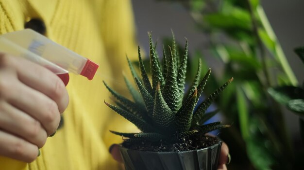 Arroser une fleur d'un arrosoir de jardin, des outils de jardin se trouvent sur une table en bois une pelle, un jaune