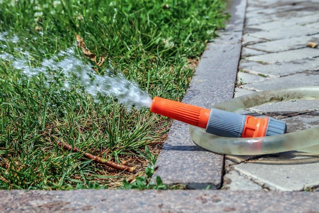 Arroser la pelouse avec un embout de tuyau