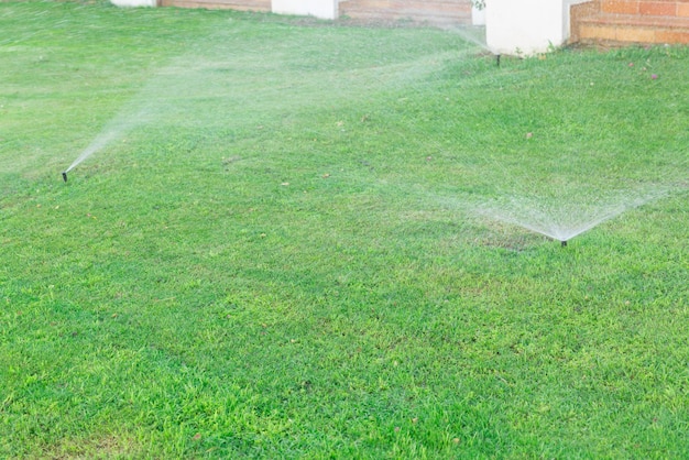 Arroseur dans le jardin arrosant la pelouse Concept d'arrosage automatique des pelouses