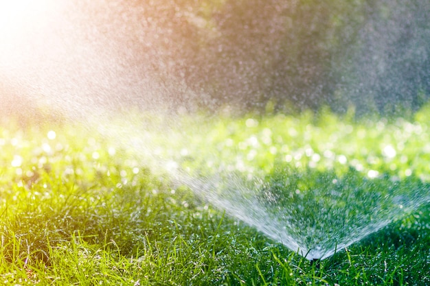 Arroseur d'eau de pelouse pulvériser de l'eau sur l'herbe fraîche verte dans le jardin ou l'arrière-cour par une chaude journée d'été. Matériel d'arrosage automatique, entretien de pelouse, jardinage et concept d'outils.