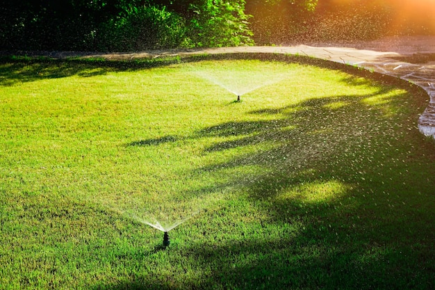 arroseur arrosage les plantes avec thé plantation sur le Montagne et forêt  colline dans pluie saison à Thaïlande 22794503 Photo de stock chez Vecteezy