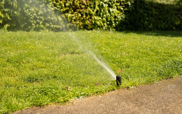 Un arroseur de pelouse pulvérise de l'eau sur une pelouse.