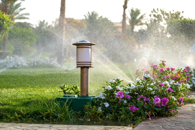 Arroseur en plastique irriguant le lit de fleurs sur la pelouse avec de l'eau dans le jardin d'été. Arrosage de la végétation verte pendant la saison sèche pour la maintenir fraîche.