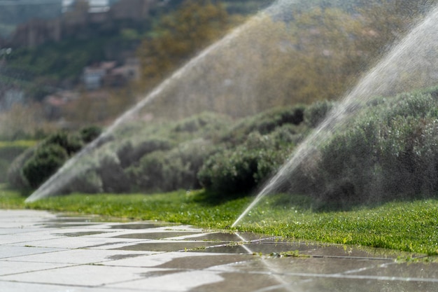 Des arroseurs arrosent la pelouse verte du parc de la ville un jour d'été, des gens marchent et des enfants jouent